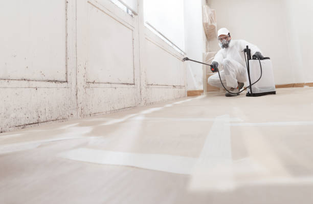 24/7 Emergency Mold Remediation experts in Lake Morton-Berrydale, WA